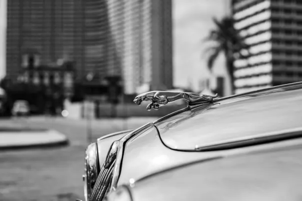 וייג'רווב קזינו אפליקציית Android/iOS